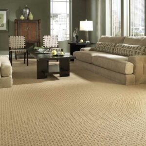 Modern Carpet | Rayo Wholesale