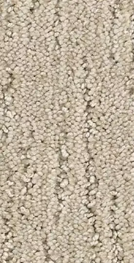 carpet-image