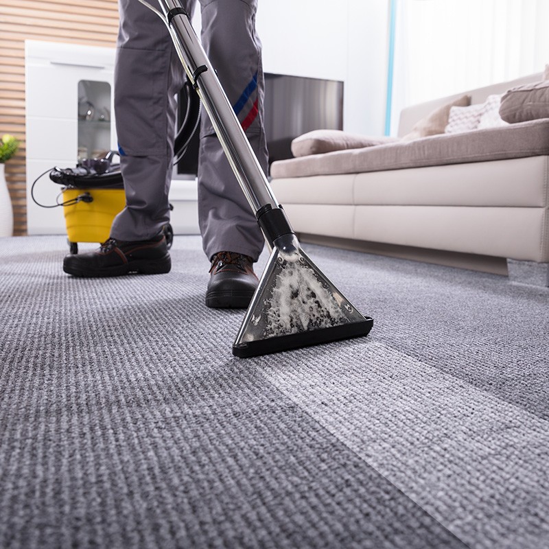 Carpet cleaning | Rayo Wholesale