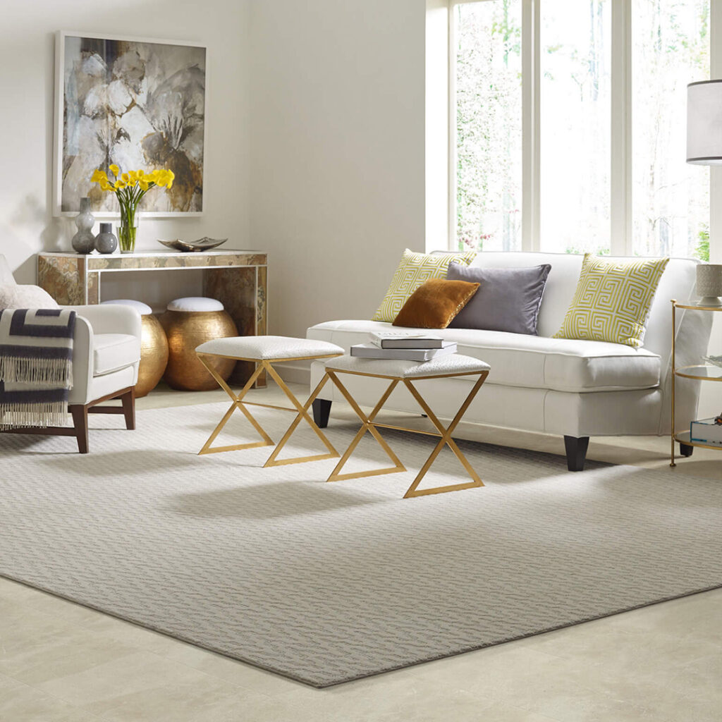 Perfect area rug | Rayo Wholesale