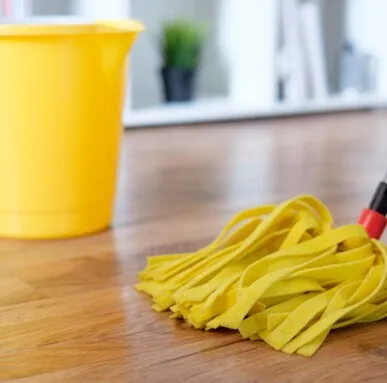 Luxury Vinyl maintenance care image